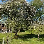 Haus Wald Und Wiese Wald Ehndorf