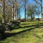Haus Wald Und Wiese Wald Ehndorf