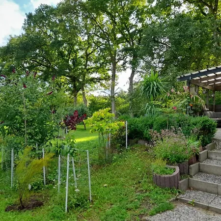 Haus Wald Und Wiese Wald * Ehndorf