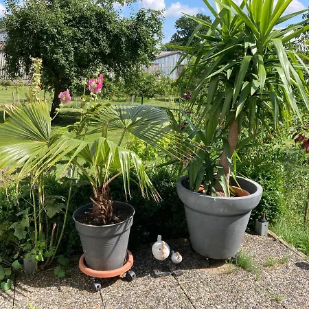 Haus Wald Und Wiese Wald Ehndorf