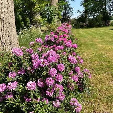 Haus Wald Und Wiese Wald Appartement Ehndorf