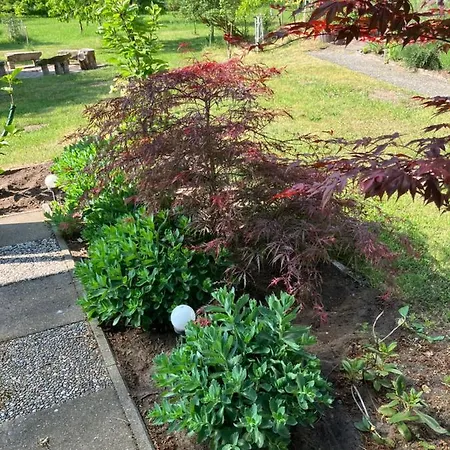 Haus Wald Und Wiese Wald * Ehndorf