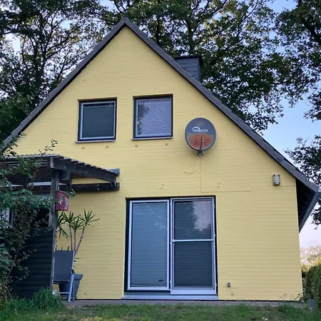 Haus Wald Und Wiese Wald *