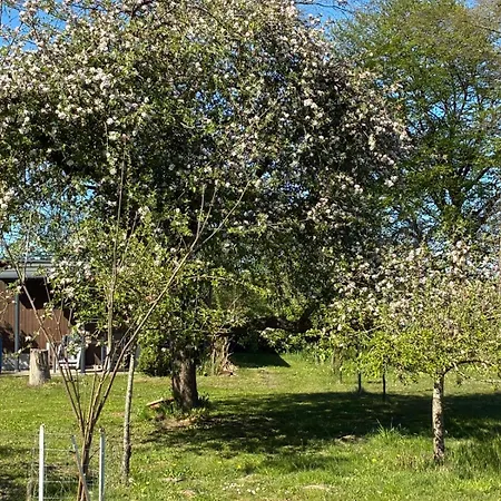 Haus Wald Und Wiese Wald Ehndorf