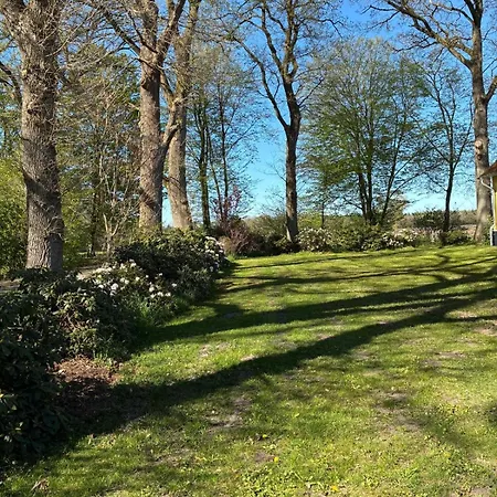 Haus Wald Und Wiese Wald Ehndorf