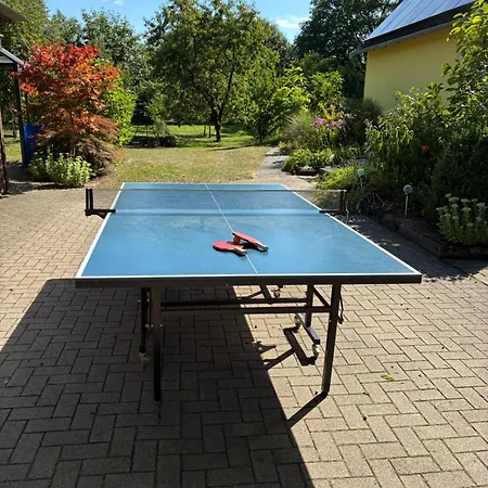 Haus Wald Und Wiese Wald