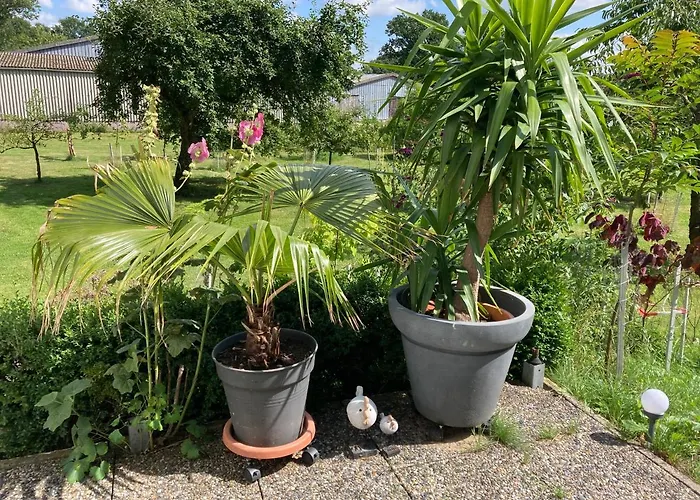 Haus Wald Und Wiese Wald Ehndorf