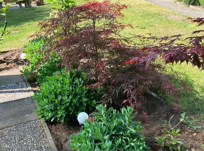 Haus Wald Und Wiese Wald * Ehndorf